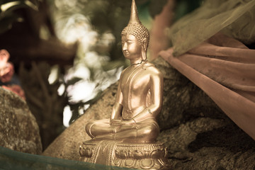 Buddha statue in thai temple