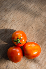 fresh red tomato from garden on plank