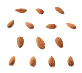 Set of multiple almond seed images