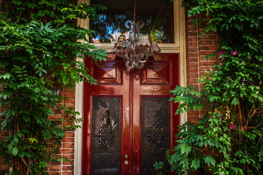 Wood brown door and green live facade.