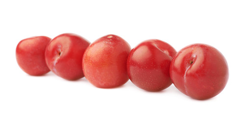 Lined up red plums isolated