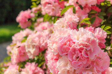 Ideal for your wedding card or other celebration cards.