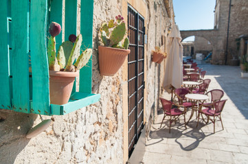 View of an ornamental wooden fruit box hung in the external wall of a stone house as a vase holder for a cactus plant, Marzamemi, Sicily