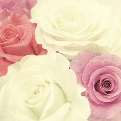 sweet color roses in soft color and blur style on mulberry paper texture
