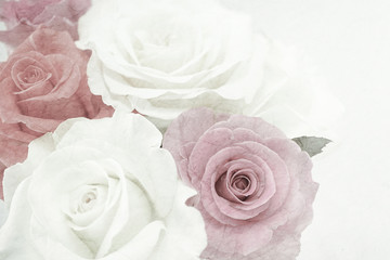 sweet color roses in soft color and blur style on mulberry paper texture

