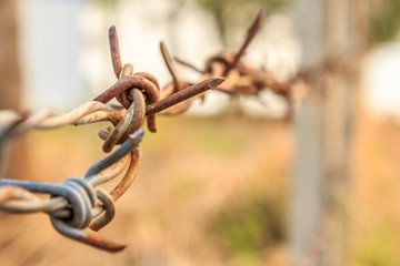 Barbed wire in horizontal background