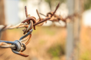 Barbed wire in horizontal background