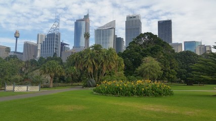 Obraz premium Sydney City from the Botanic Garden