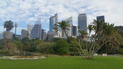 Obraz premium Sydney City from the Botanic Garden