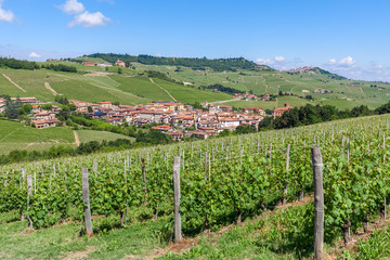 Fototapeta na wymiar Green vineyards and small town in Italy.