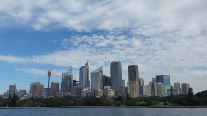 Obraz premium Sydney City from Mrs Macquarie Point 