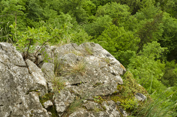 crag above the timberline