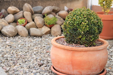 schöner Steingarten