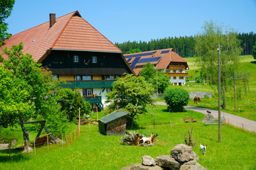 Bauernhöfe im Schwarzwald