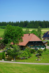 Großer Hof mit Teich im südlichen Schwarzwald