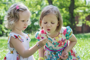 Funny little girls (sisters) blow on a dandelion.