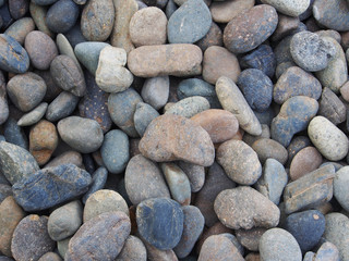 abstract background with dry round reeble stones