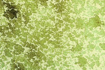 Green ink stains on paper texture.