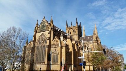 Fototapeta premium St Mary's Cathedral, Sydney, Australia 