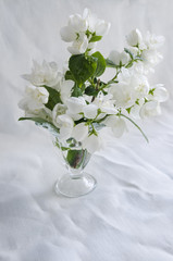 Beautiful bouquet of jasmine in glass vase on white background crumpled linen