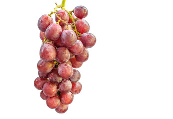 grapes isolated on white background