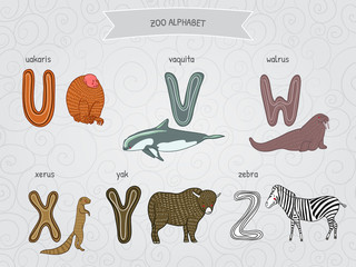Cute cartoon funny zoo alphabet in vector. U, v, w, x, y, z letters. Uakaris, vaquita, walrus, xerus, yak, zebra. Design in a colorful style.
