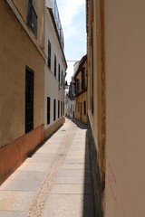 Fototapeta premium Calleja 3