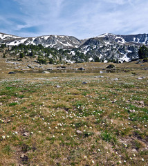 Fototapeta premium Spring in mountain valley
