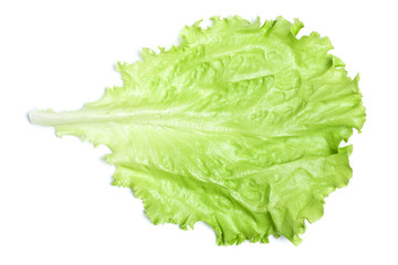 Green Lettuce