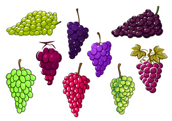 Bunches of green and red grapes