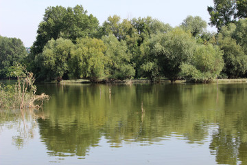 Fototapeta na wymiar boat river Novi Sad Dunav