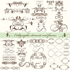 Vector set of calligraphic elements for design. Calligraphic vec