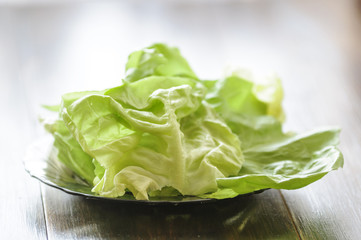 lettuce