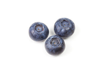 Blaubeeren  auf weissem Untergrund