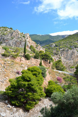Fototapeta na wymiar Summer landscape in Greece.