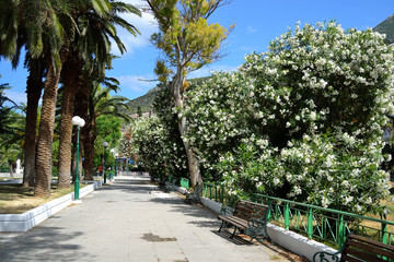 Fototapeta premium Summer landscape, Greece.