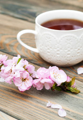 Obraz na płótnie Canvas Cup of tea and sakura blossom