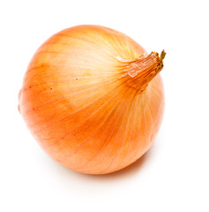 Onion Bulb