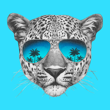 Original drawing of leopard with mirror sunglasses. Isolated on colored background