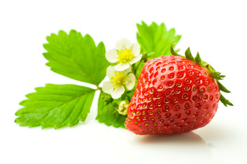Ripe strawberry with leaf and blossom