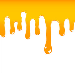 vector honey drips
