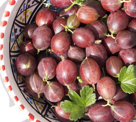 red gooseberries in bowl