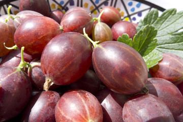 red gooseberries in bowl