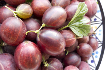 red gooseberries in bowl