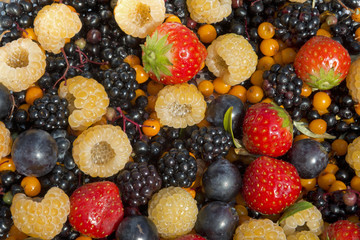 mixed colors summer fruit