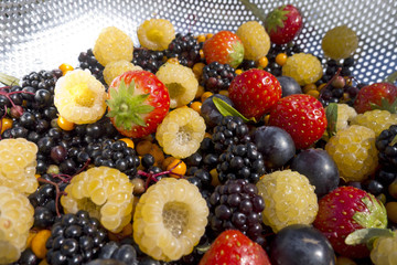 mixed power fruits in colander