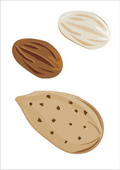 almond