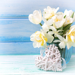 Background with fresh narcissus and tulips in blue vase and hear