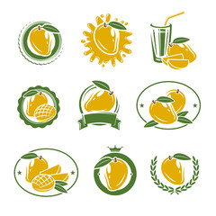 Mango labels and elements set. Vector