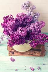 Background with  lilac flowers